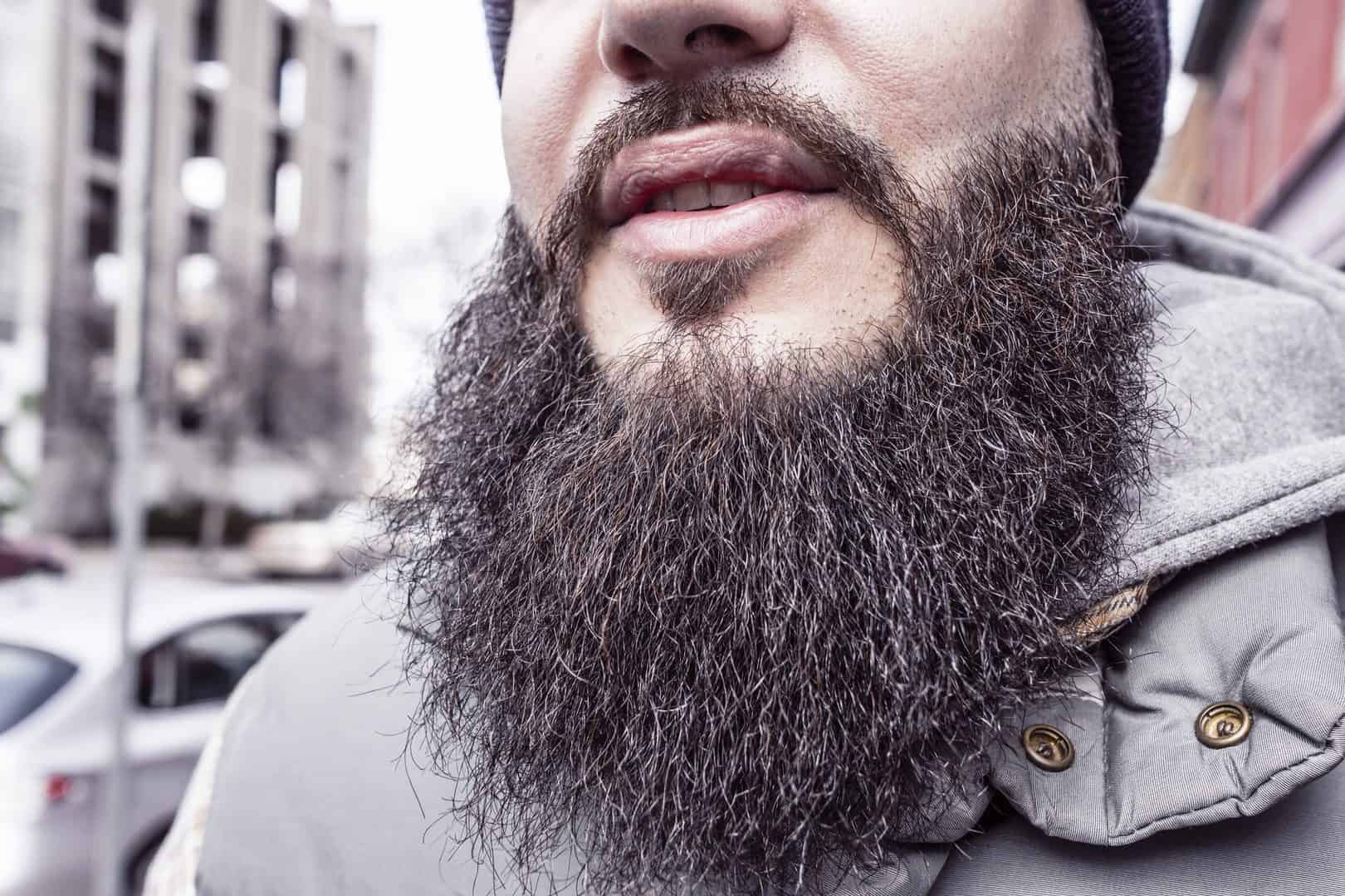 Man with voluminous beard