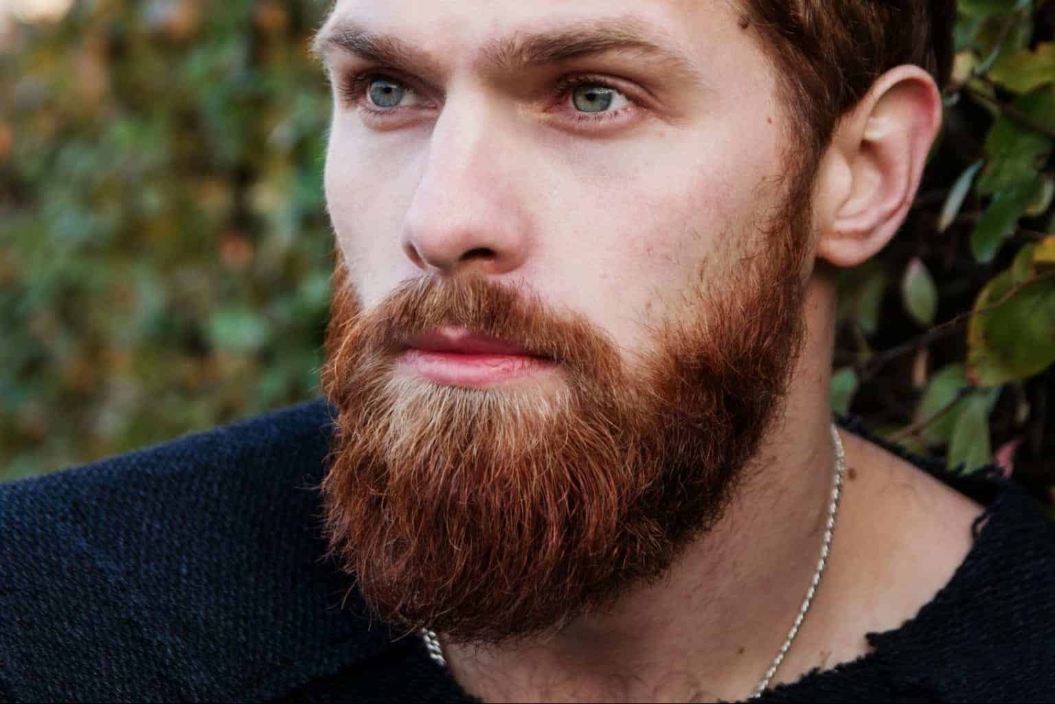 How To Dye Your Beard The Best Beard Dyes Beardesy 